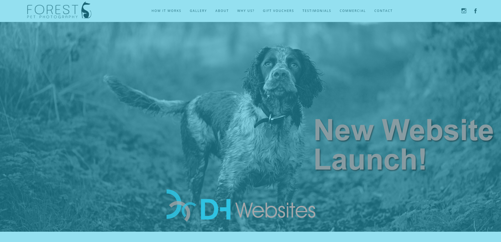 New website for Forest Pet Photography